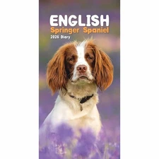 Carousel Worldwide, English Springer Spaniels 2026 Slim Diary Planner