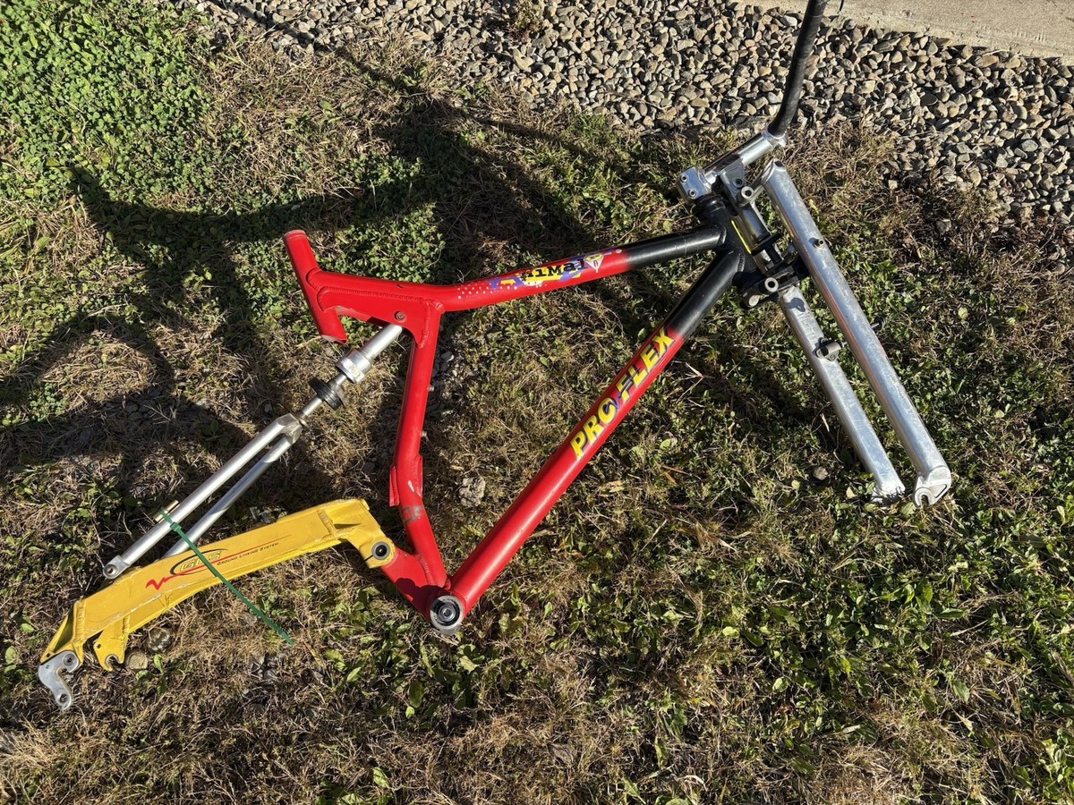 K2 Proflex pro flex animal Mountain Bike Frame With Noleen Girvin