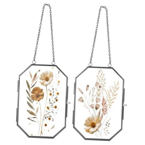 2 Pcs Glass Pressed Flower Frames Hanging Picture Frame Clear Floating Frame