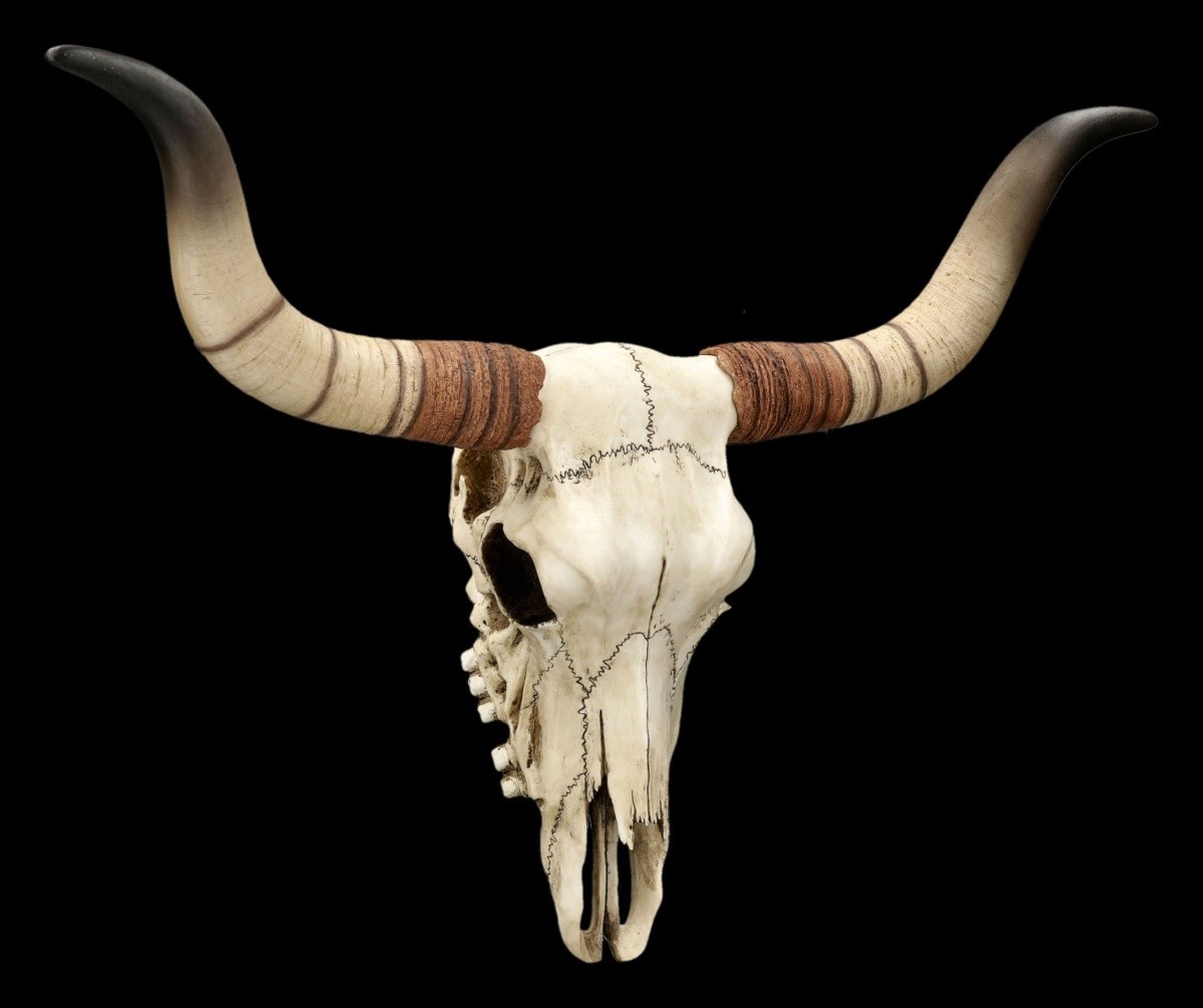 Veronese Hand-Painted Faux Taxidermy Wall Hanging Longhorn Bull Skull Trophy