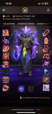 Compte WoW The War Within Avec 2 Lvl 80  Connétable Et 4 Lvl 70