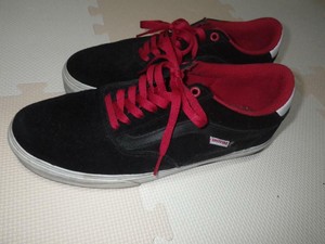 vans van engelen pro