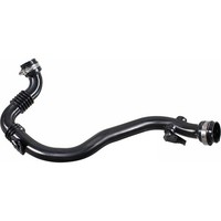 Metzger 2400960 Ladeluftschlauch FüR Renault Clio Modus Grand Modus F JP0 BR0 1