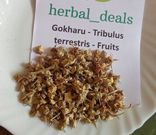 Patil Foods Gokshura Powder - Tribulus Terrestris Caltrops Fruit 