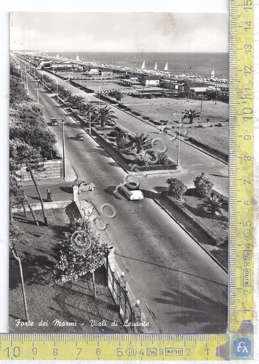 Cartolina - Postcard - Forte dei Marmi - Viali di Levante - Auto d'epoca - 1964