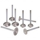 Super Duty Stainless Steel Intake Valve 2.02 In Std. Length