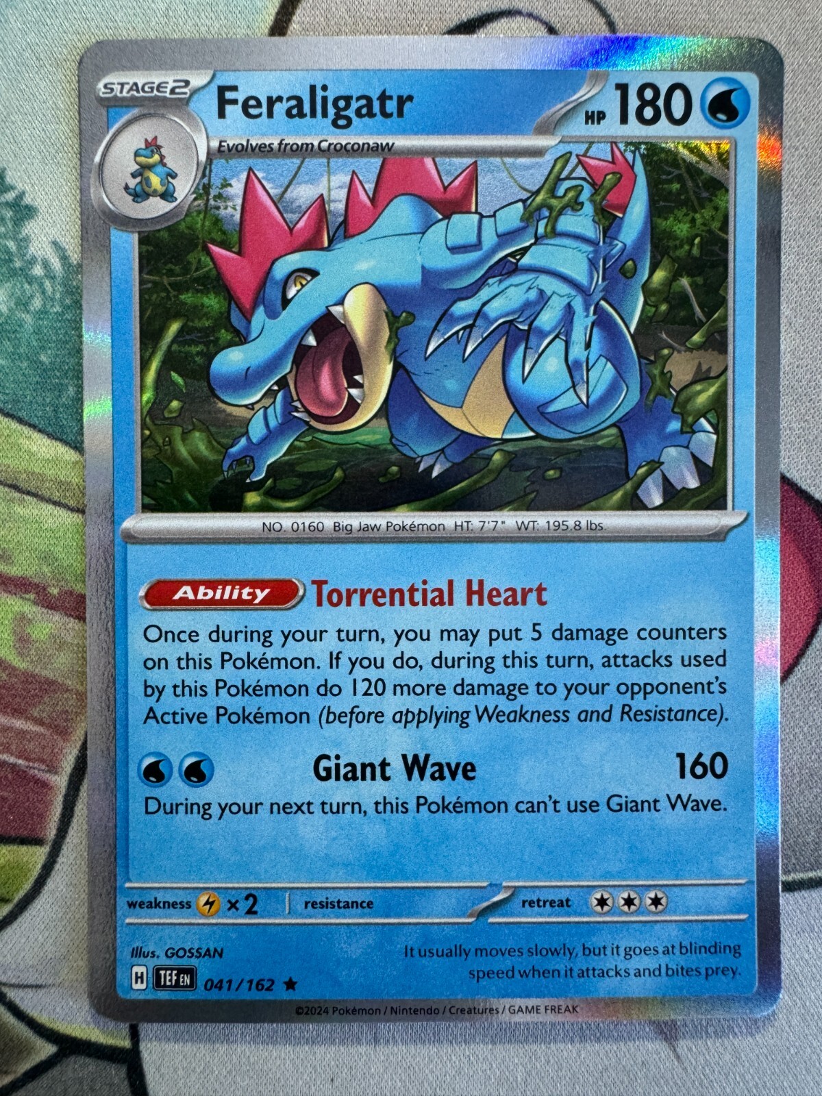 Feraligatr Holo English Pokemon TCG BKBQ46