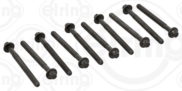 Elring 373.281 Schraubensatz FüR Zylinderkopf FüR Ashok Leyland, Dacia, Infiniti-image