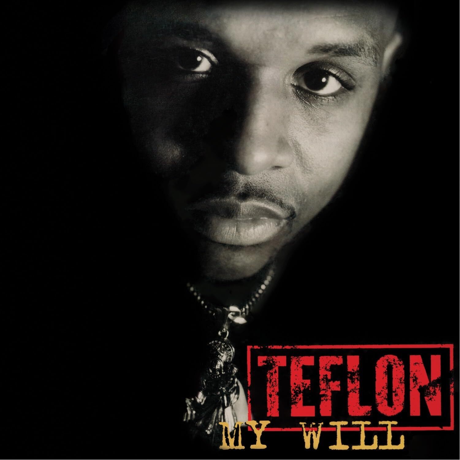 Teflon My Will (Vinyl LP)