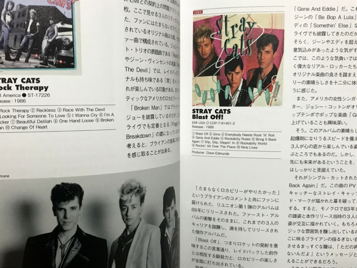 rave on STRAY CATS SPECIAL １＆２　２冊セット rave on STRAY CATS SPECIAL 1＆2 2冊セット オリジナル on