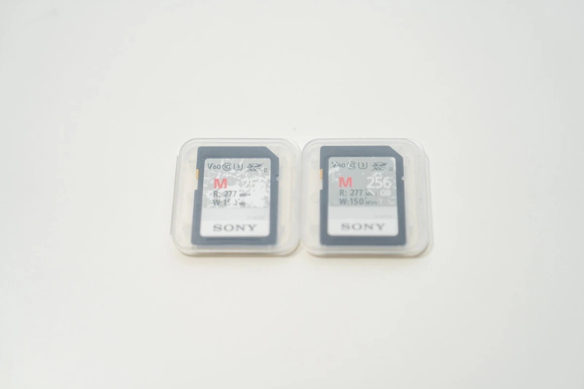 Sony 256 GB Camera Memory Cards for sale | eBay