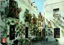 Cordoba Spain Calleja y Plaza de las Flores Continental Postcard B205