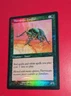 MTG *FOIL * Planeshift Common THORNSCAPE FAMILIAR SP