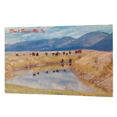Postcard Don't Fence Me In Hereford Cattle Cows In Pasture Chrome Unposted