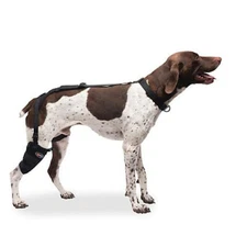 Caldera Pet Therapy Wrap Hot and Cold Gel Wrap SHORT STIFLE for Medium Dogs 