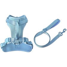 Neoprene Cushioned Walking Dog Set, Adjustable Dog Harness L with 6ft Leash, L