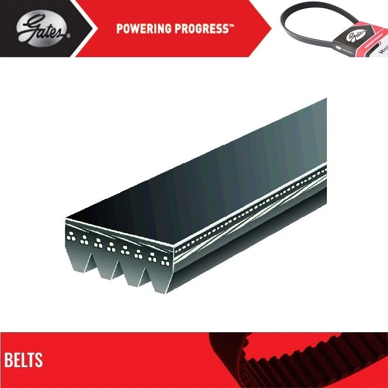 Cinto GATES OE Micro-V para 1986-1988 CHRYSLER LEBARON L4-2,5L - Imagem 2 de 4