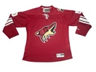 Arizona Coyotes NHL Fan Jerseys