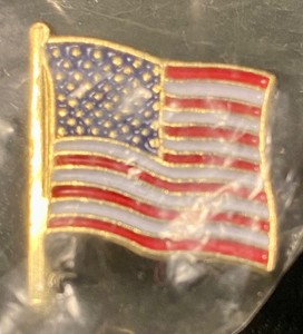 American 🇺🇸 Flag Enameled patriotic PA Lapel Pin 250 Celebration Democracy