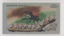2020 Topps Allen & Ginter Chrome Mini Buggin' Out! Giraffe Weevil #MBOC-14 05ti