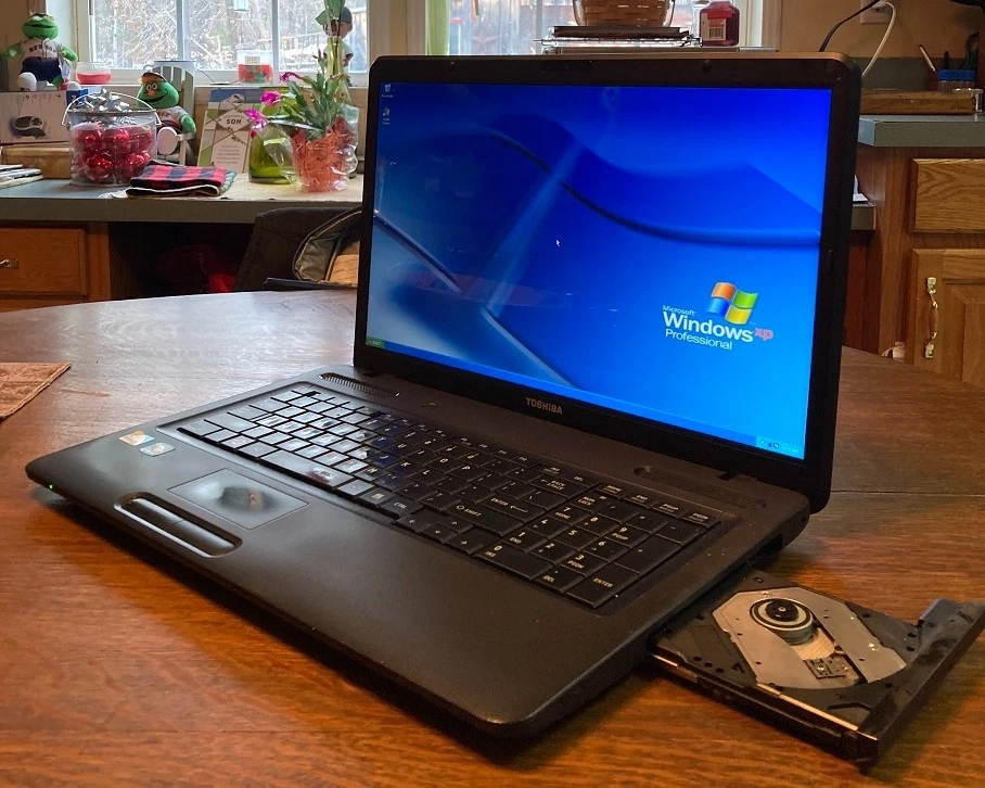 Toshiba Windows 7 Professional PC Laptops & Netbooks 8 GB RAM for