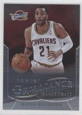 2012-13 Panini Brilliance Wayne Ellington #110 0f4