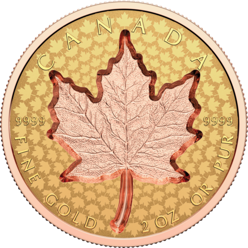 2 oz. Pure Gold Coin – Super Incuse Gold Maple Leaf – Mintage: 250 (2022) |  eBay