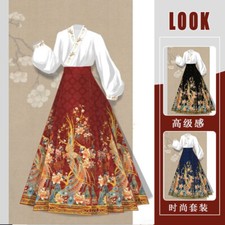 Chinese Women Ming Hanfu Horse Face Skirt Daily Costume Skirt