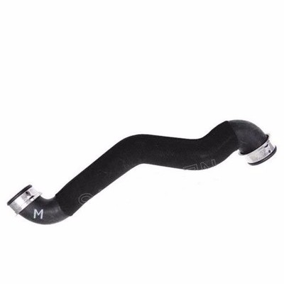 Mercedes-Benz Genuine W211 W219 E-Class CLS-Class Radiator Lower Hose ...