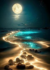 Moon Diamond Painting Kits for Adults, 5D Moonlight Beach Diamond Art Kits 12x16