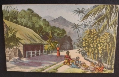 Alte Postkarte, Szene auf einer Kakaoplantage