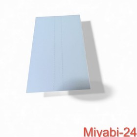 Seltenes The Crow Sega Saturn Spiel mit Poster & H&uuml;lle, sch&ouml;ner Zustand