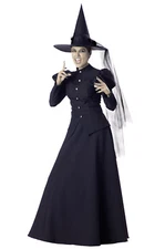 Wretched Wicked Witch Adult Costume