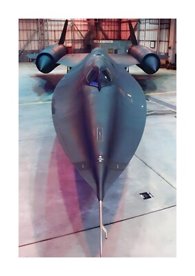 SR71 Amsel 4 A4 Bild Foto Poster Rahmenwahl