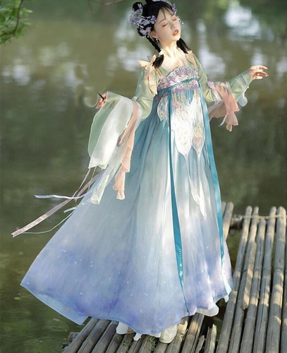 Women's Cosplay Hanfu Dress Chinese Tangzhuang Traditional Embroidery Long Dress - Bild 7 von 9