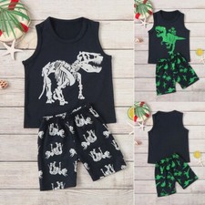 Toddler Infant Boys Baby Kids Summer Dinosaur Vest Shorts Outfit Set Clothes