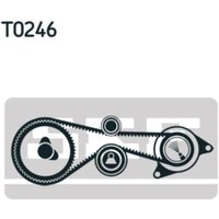 SKF Zahnriemensatz FüR VW Touareg 7P5 3.0 V6 TDI 7LA 7L6 7L7 Phaeton 3D_ Audi