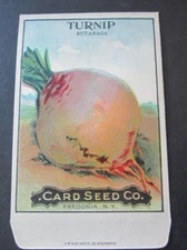 Old Vintage c.1910 - CARD SEED Co. - TURNIP - Rutabaga - SEED PACKET