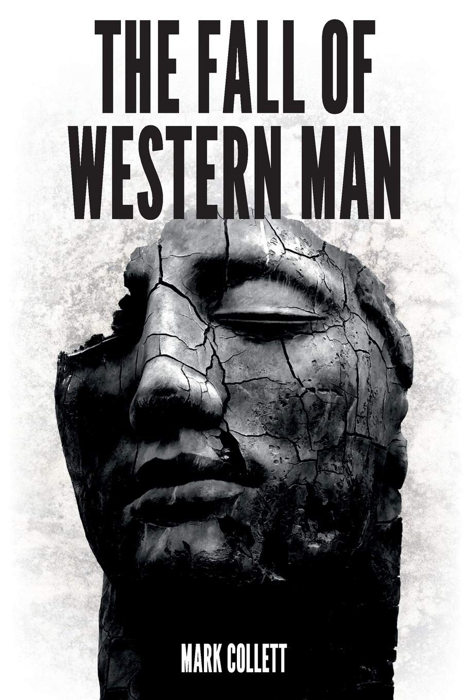The Fall of Western Man - Mark Collett VERY GOOD BOOK!! 2017