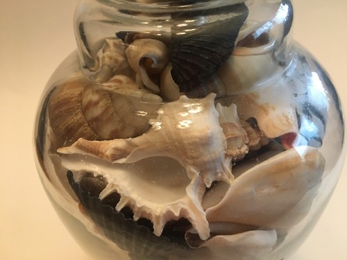 SEASHELL FILLED GLASS TABLE LAMP BEAUTIFUL SHELLS STARFISH SEA HORSE BEACH HOUSE - Picture 12 of 17