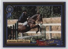 1996 Stellar Publishing Golden HorseShu Series 1 Q Card #45 0t2