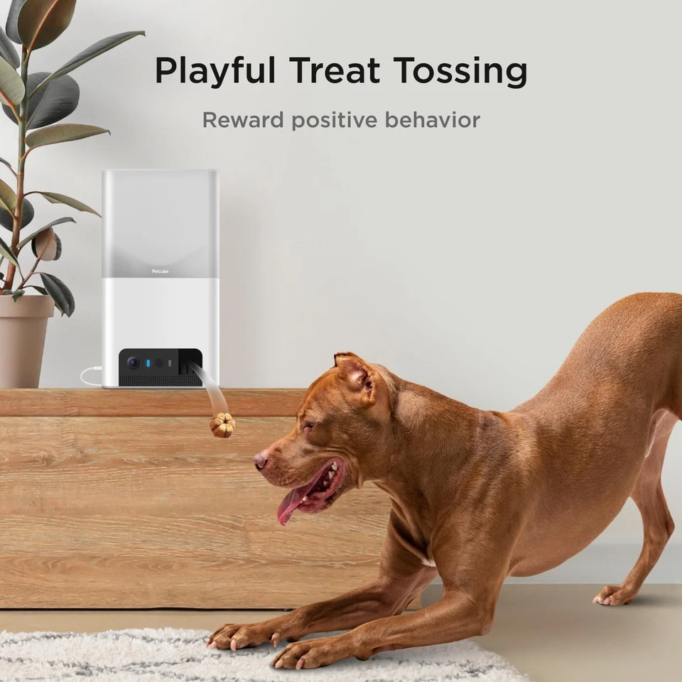 Petcube Bites 2 Lite Pet WiFi Monitoring Camera &Treat Dispenser 1080p HD - Image 3 of 4
