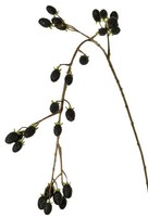 Artplants KüNstlicher Zweig Brombeere Uruma Mit FrüChten, Schwarz, 100Cm
