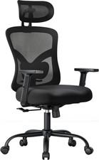 Ergonomic Office Chair with Padded Lumbar Support, 2D Headrest, Adjustable Armre