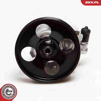 Esen SKV Hydraulikpumpe Lenkung 10SKV100 FüR Fiat CitroËN Peugeot Lancia Ulysse