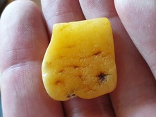 Natural real Baltic amber  4.4 g yellow white stone charm gemstone gems