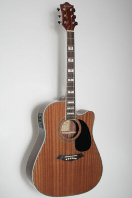 Bona dea-l-NA, 41` Westerngit., cut, EQ-Fishman, MH-Wilkinson, Decke: Sapeli, B&