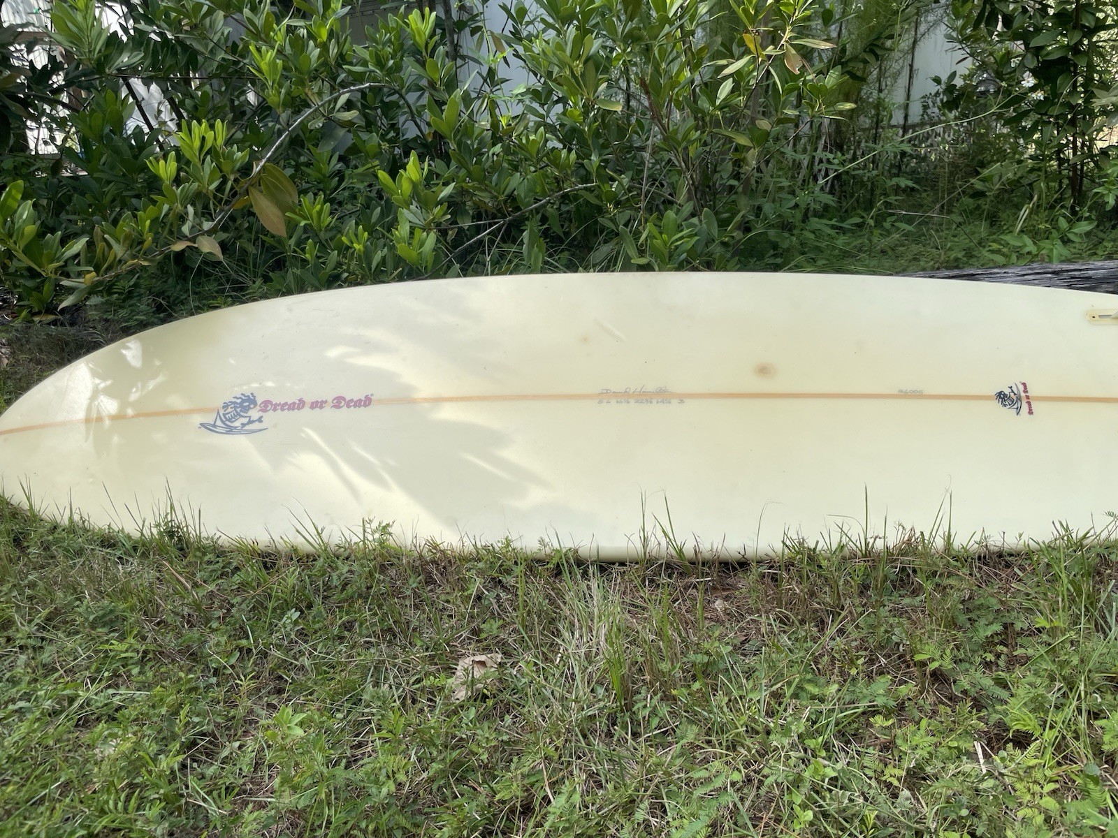 Custom 8 Foot Long Board SurfBoard