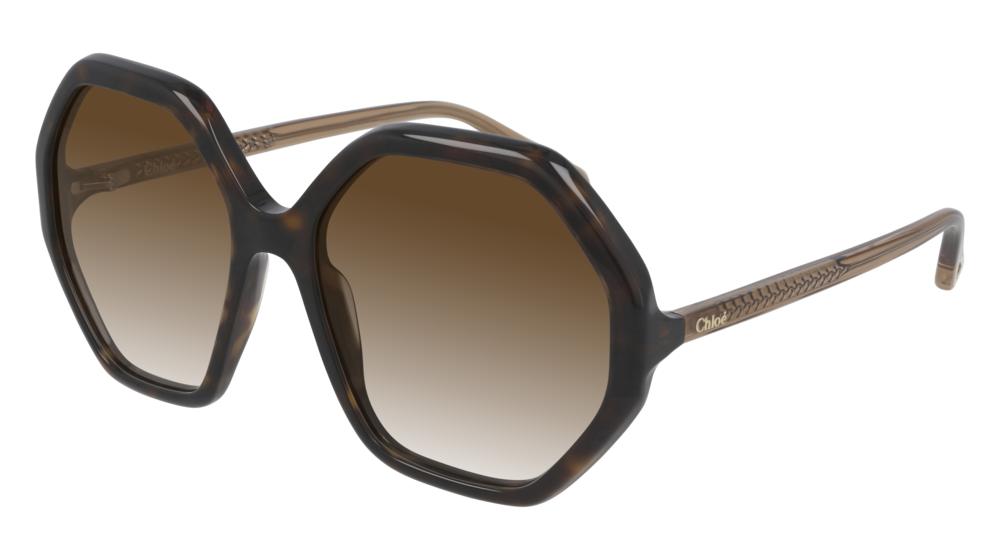 100% Genuine & Unworn - Chloe CH0008S Havana 004 Size 58-17  display picture 1