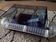 Hamster Cage With Accessories Bundle. 48 X 44 X 26cm Exercise Ball Included